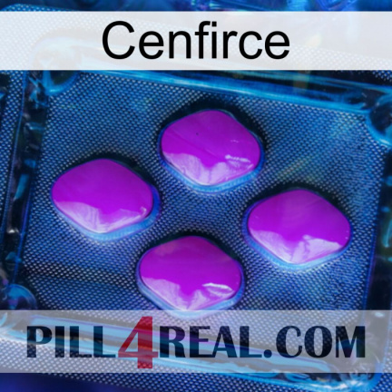 Cenfirce 04